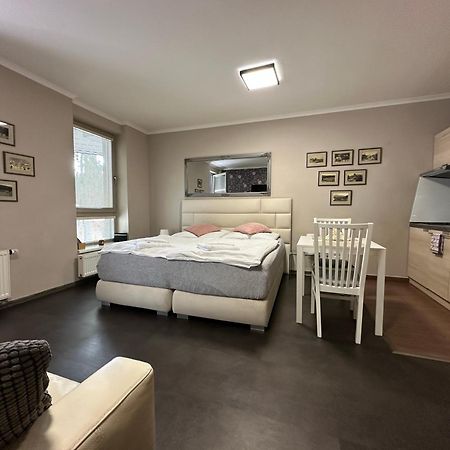 Harrachov Resident Apartments "Terrace & Chill" - High Speed Wifi, Smart Tv, Netflix, Disney Plus Exterior foto